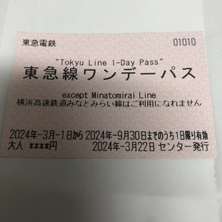 【未使用】東急線ワンデーパス 9/30まで(鉄道乗車券)