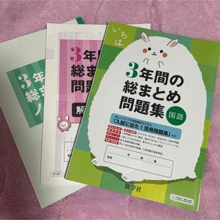 3年間の総まとめ問題集 国語(語学/参考書)