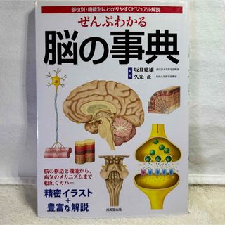 【美品】ぜんぶわかる脳の事典 部位別・機能別にわかりやすくビジュアル解説(健康/医学)