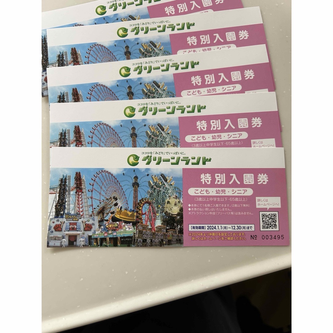 グリーンランド特別入園券☆大人2枚＊子ども3枚セット☆ チケットの施設利用券(遊園地/テーマパーク)の商品写真