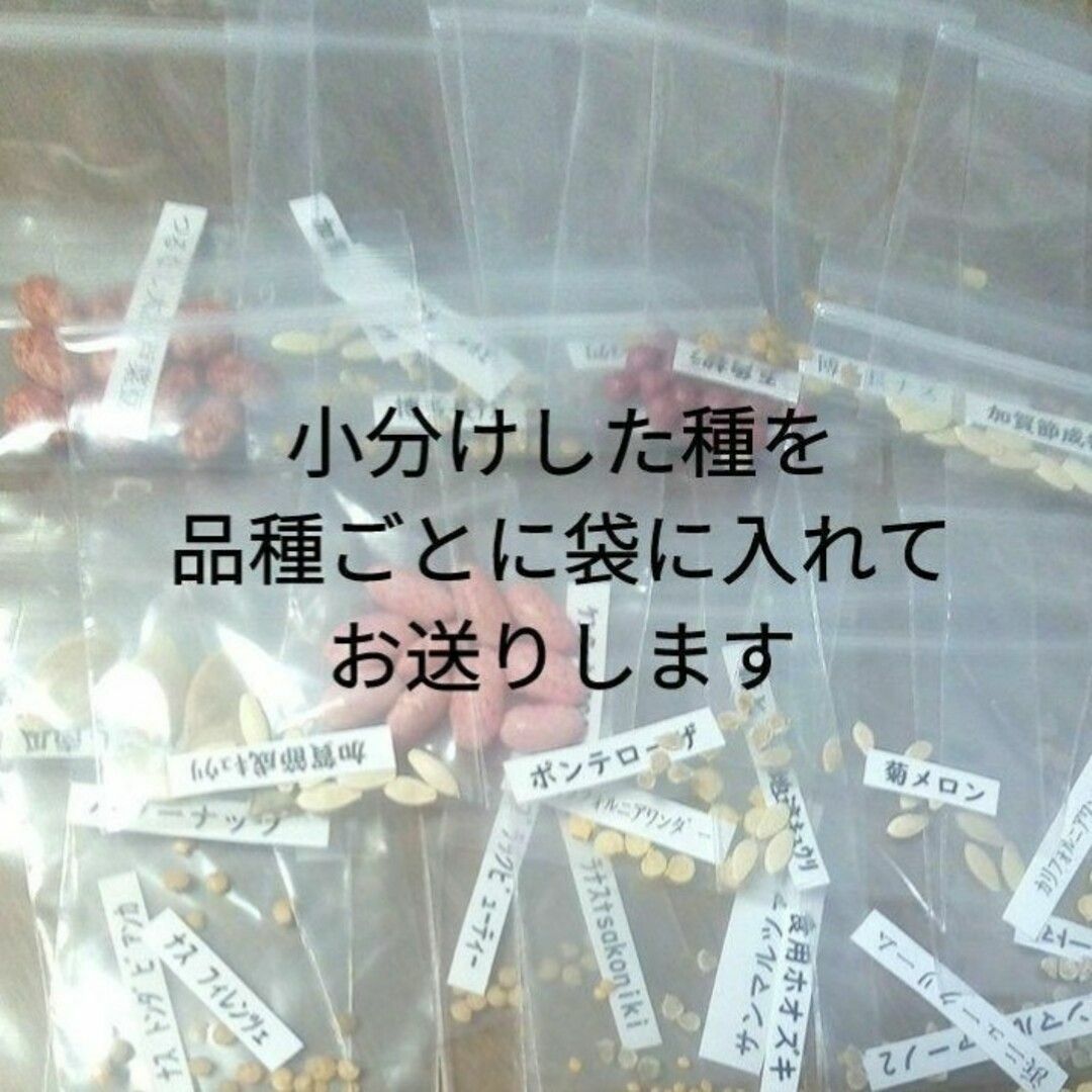 固定種ナス種10●早生真黒茄子博多長茄子白長茄子イタリアンナスフィレンツェ他 ハンドメイドのフラワー/ガーデン(その他)の商品写真