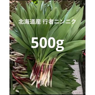 北海道産道北行者ニンニク(野菜)