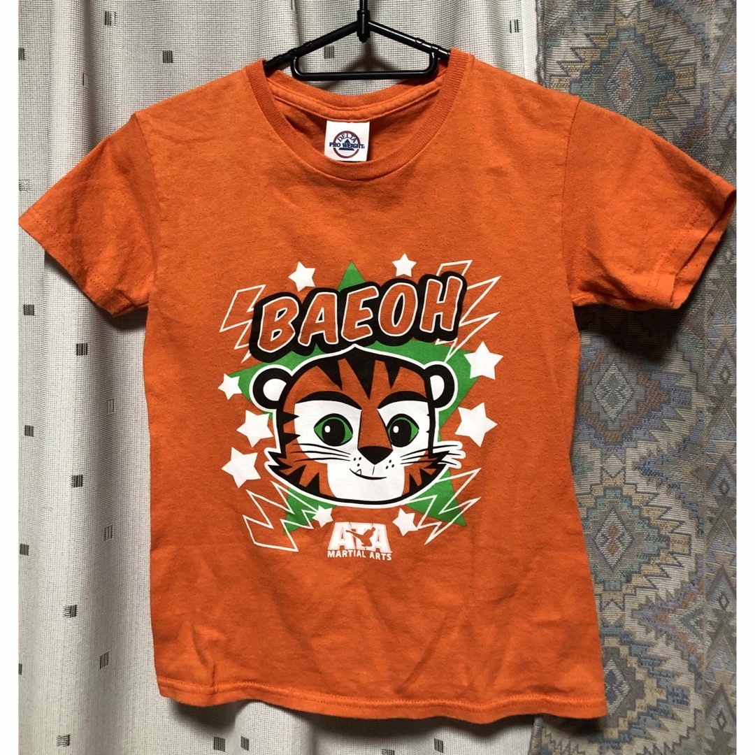 可愛いTシャツ半袖 レディースのトップス(Tシャツ(半袖/袖なし))の商品写真