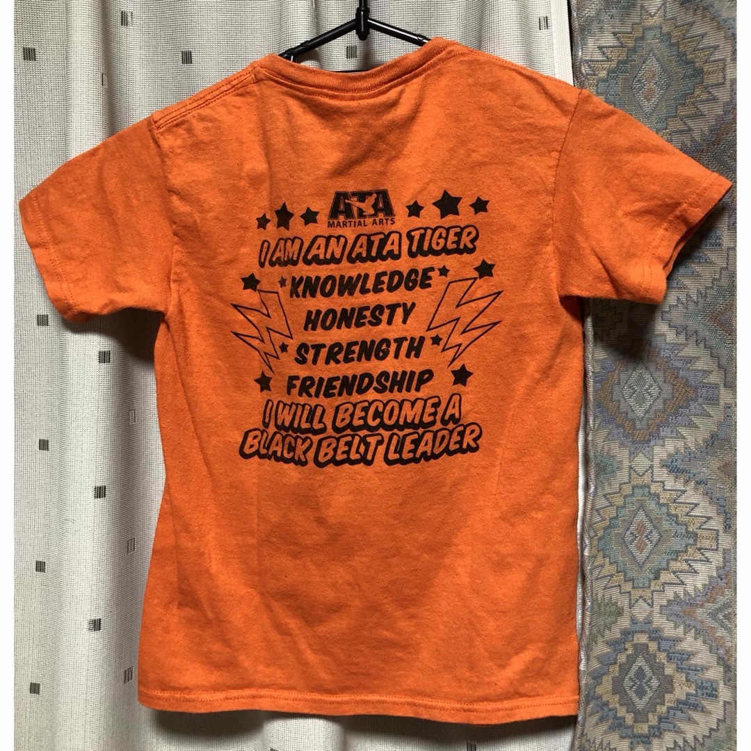 可愛いTシャツ半袖 レディースのトップス(Tシャツ(半袖/袖なし))の商品写真