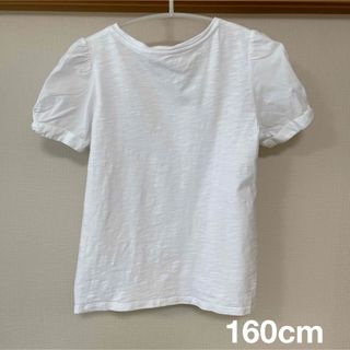 ギャップキッズ(GAP Kids)のGAPキッズ　女の子ブラウス160cm(Tシャツ/カットソー)