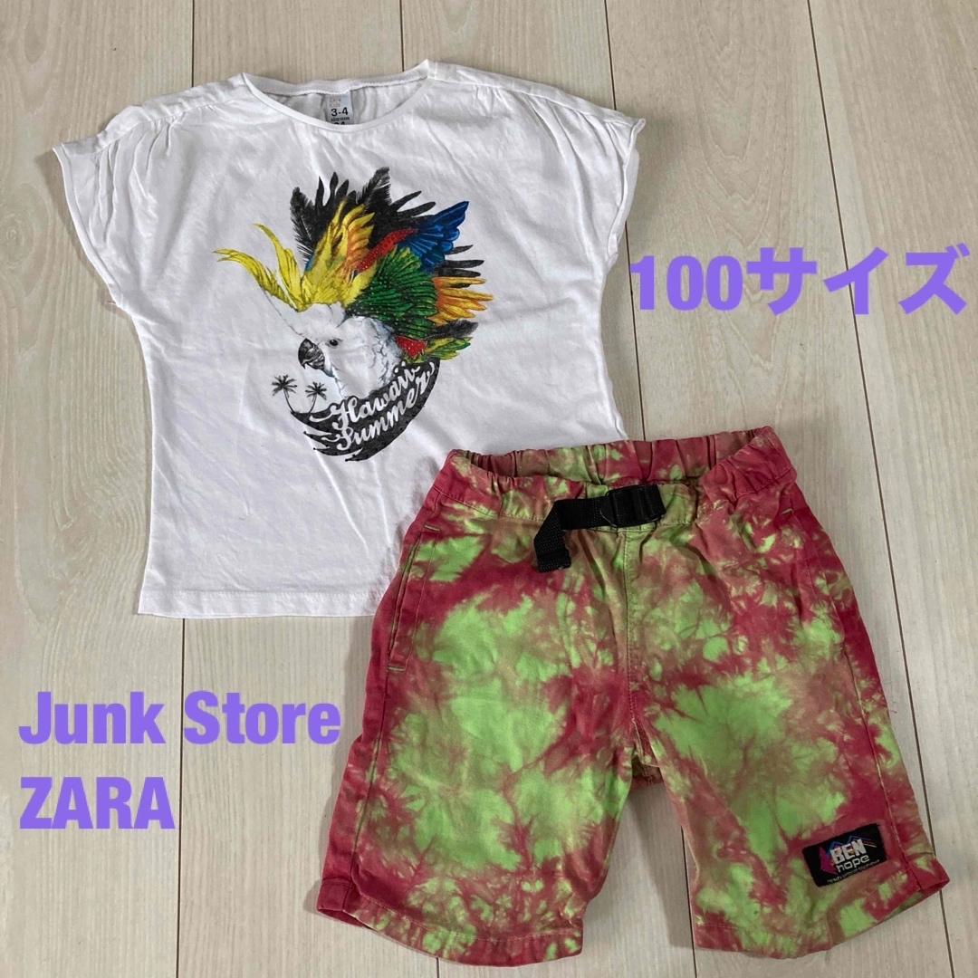 ZARA KIDS(ザラキッズ)の【100 セット販売　オウム柄Tシャツ　タイダイハーフパンツ】 キッズ/ベビー/マタニティのキッズ服男の子用(90cm~)(Tシャツ/カットソー)の商品写真