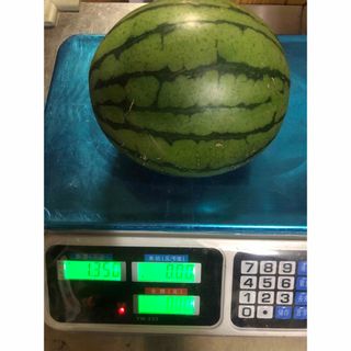 535.数量限定薄皮すいか　小玉甘いスイカ 1玉入り 1.3Kg～