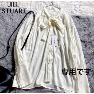 ジルスチュアート(JILLSTUART)の【ジルスチュアート】未使用✨美品 ボウタイブラウス  とろみ フリーサイズ(シャツ/ブラウス(長袖/七分))