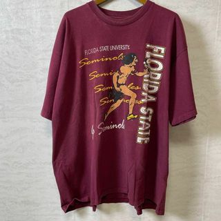 シングルステッチ　メイドインUSA　フロリダ大学　カレッジロゴ　半袖Ｔメンズ古着(Tシャツ/カットソー(半袖/袖なし))