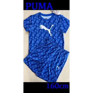 プーマ(PUMA)の新品タグ付き　160cm PUMAプーマ　上下セット ブルー(Tシャツ/カットソー)