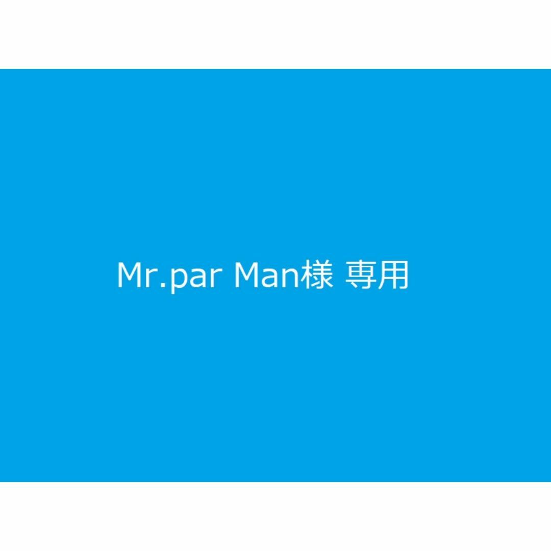 Mr.par Man様 専用 スポーツ/アウトドアのスポーツ/アウトドア その他(その他)の商品写真