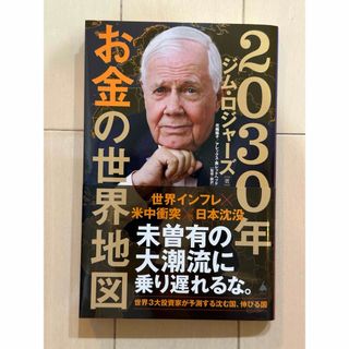 ２０３０年お金の世界地図(その他)