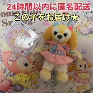 ディズニー(Disney)の【完売品】カムファインドスプリング♡ぬいぐるみバッジ♡クッキーアン(キーホルダー)