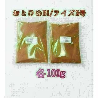 観賞魚餌 おとひめB1 ライズ2号 各100g 使い比べ 熱帯魚 グッピー