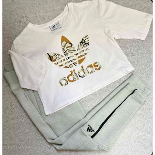 adidas - アディダス トレーニング セットアップ パンツ M　Tシャツ S