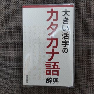 大きい活字のカタカナ語辞典