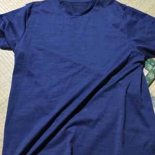 ジーユー(GU)のGU シャツ(Tシャツ/カットソー(半袖/袖なし))