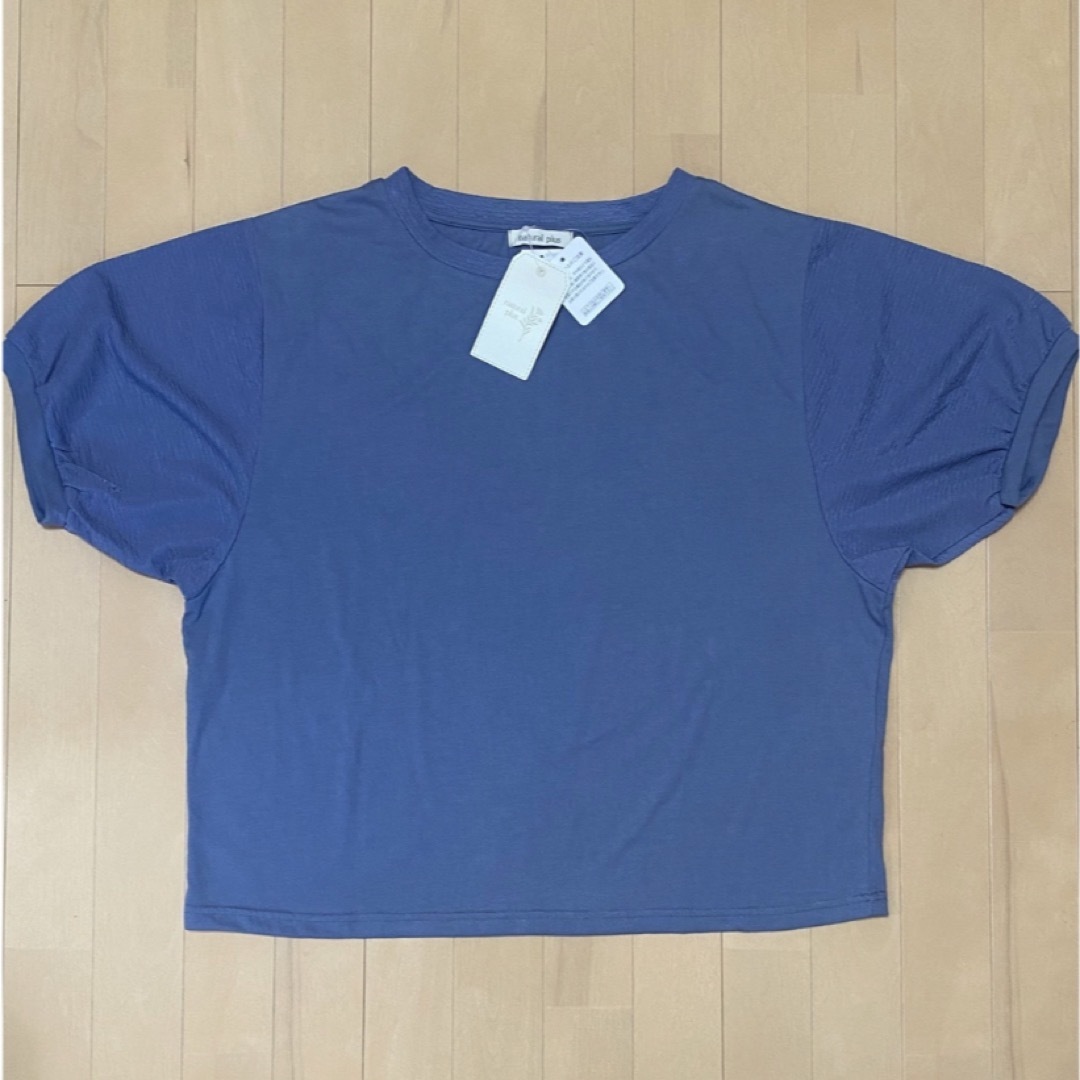 新品タグ付き レディース 半袖Tシャツ 夏服 レディースのトップス(Tシャツ(半袖/袖なし))の商品写真