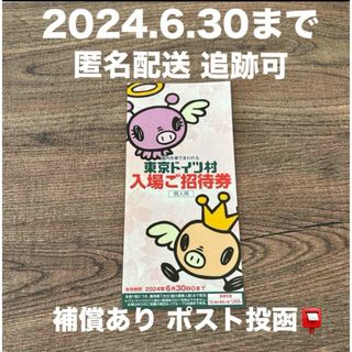 東京ドイツ村 チケット 入場 入園無料 招待券 2024.6.30まで(遊園地/テーマパーク)