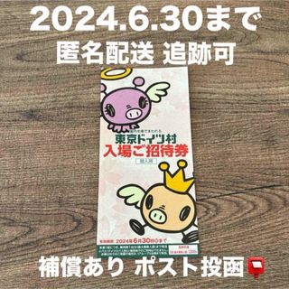 東京ドイツ村 チケット 入場 入園無料 招待券 2024.6.30まで(遊園地/テーマパーク)