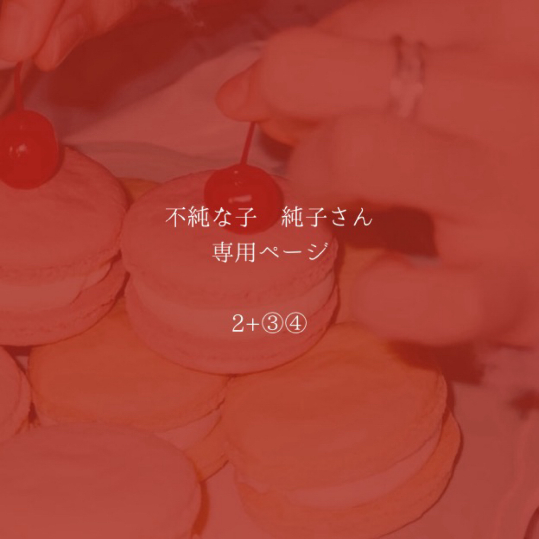 不純な子 純子さん専用ページ エンタメ/ホビーのアニメグッズ(キーホルダー)の商品写真