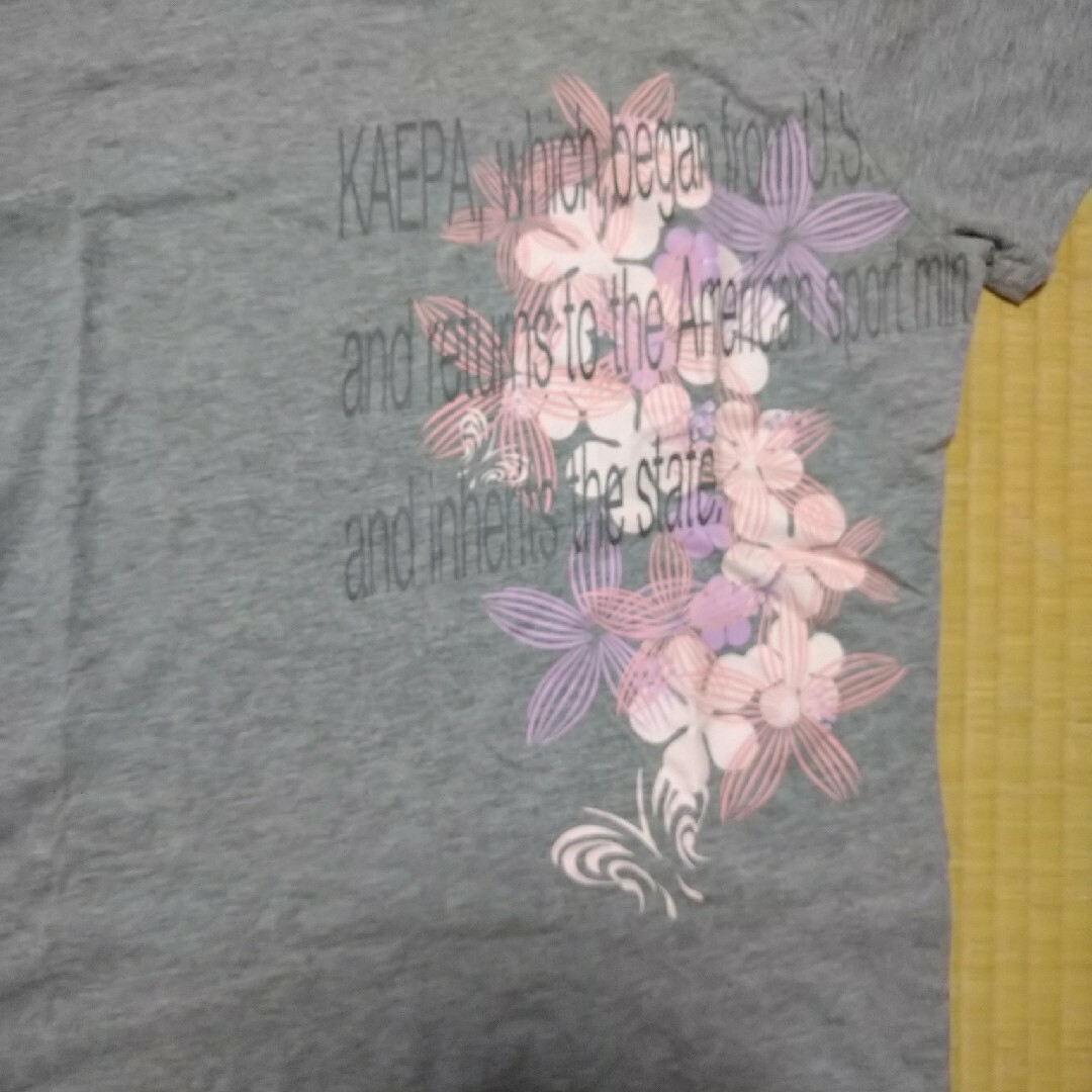 Kaepa(ケイパ)のLL☆レディース　Tシャツ レディースのトップス(Tシャツ(半袖/袖なし))の商品写真