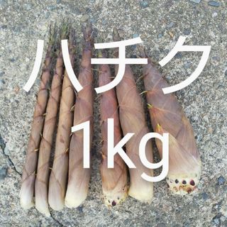 ハチク 梱包資材込み約1kg 新鮮 農薬不使用(野菜)