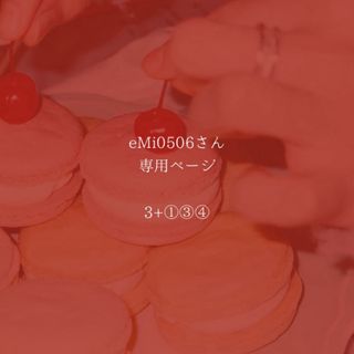 eMi0506さん専用ページ(キーホルダー)