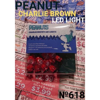 PEANUTS - №618 ピーナッツ チャーリー ブラウン 10 LED ミニ ストリングライト