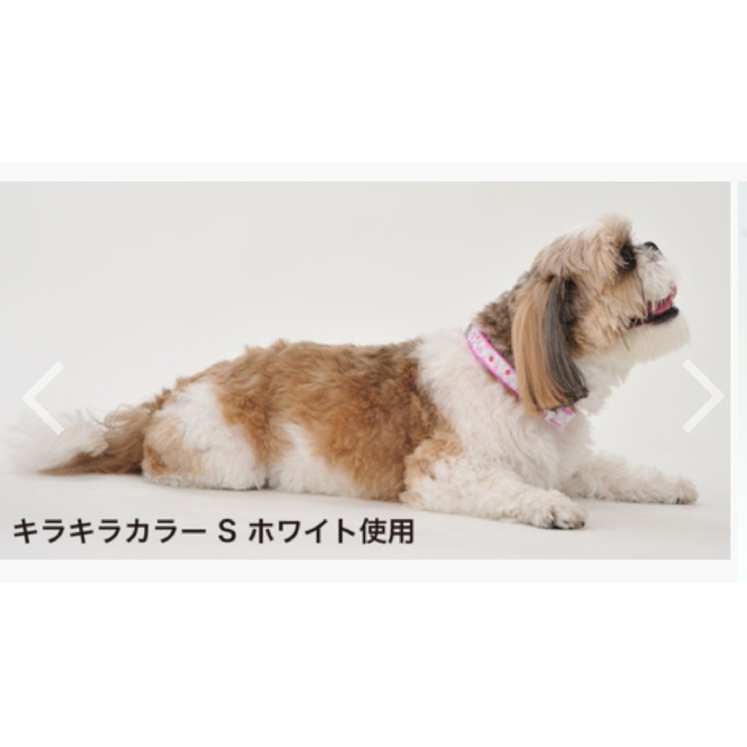 Petio(ペティオ)の２本セット！３kgまでミニ犬◯ワンタッチ青赤犬柄英語ハート可愛い首輪ペティオ その他のペット用品(犬)の商品写真