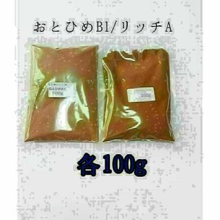 観賞魚餌 おとひめB1 リッチA 各100g 使い比べ メダカ 熱帯魚 グッピー(アクアリウム)