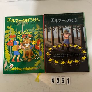 フクインカンショテン(福音館書店)のエルマ－とりゅう(絵本/児童書)