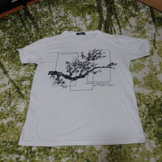 T-GRAPHICS  Tシャツ　Lサイズ(Tシャツ/カットソー(半袖/袖なし))