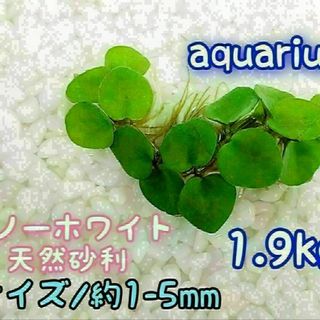 スノーホワイト 天然 砂利1-5mm 1.9kg アクアリウム メダカ 熱帯魚(アクアリウム)