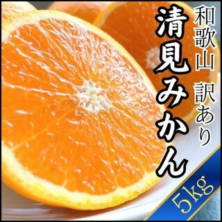 清見みかん 訳あり 5kg 和歌山県産 清見オレンジ 旬の果物(フルーツ)