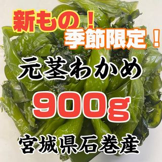 元茎わかめ　宮城県石巻産　新もの！(その他)