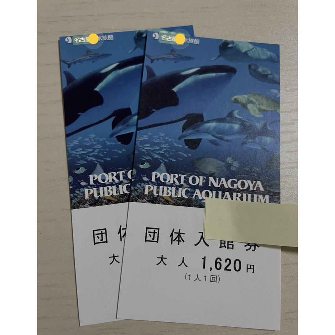 名古屋港水族館　大人　2 枚セット チケットの施設利用券(水族館)の商品写真