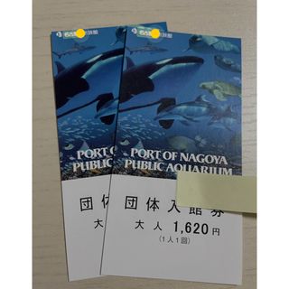 名古屋港水族館　大人　2 枚セット(水族館)