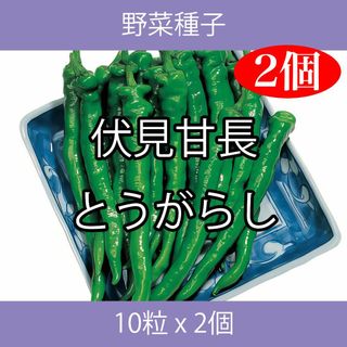 野菜種子 TVK05 伏見甘長とうがらし 10粒 x 2個(野菜)