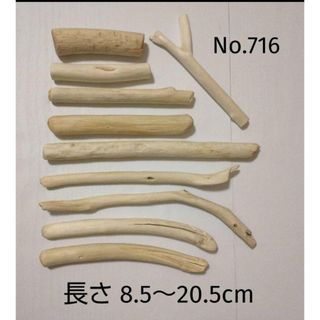 海の流木 No.716 長さ 8.5～20.5cm まとめ売り 10本(各種パーツ)