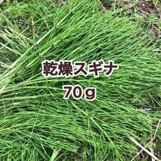 無農薬 乾燥スギナ スギナドライ 100ｇ(茶)