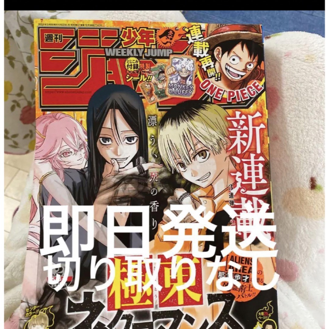 週刊少年ジャンプ　21号 エンタメ/ホビーのおもちゃ/ぬいぐるみ(キャラクターグッズ)の商品写真