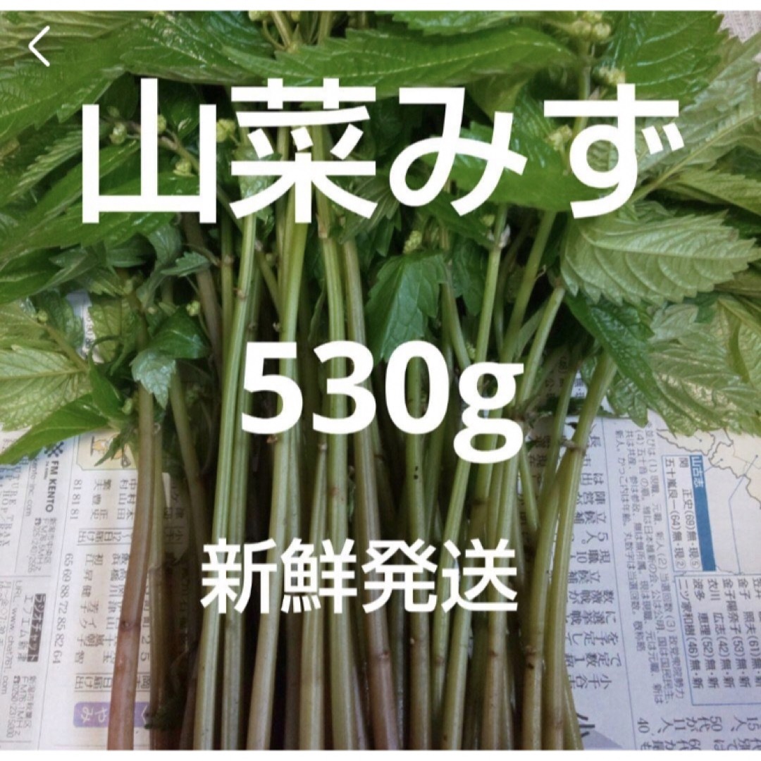 2 山菜　みず　ミズ　ネコポスいっぱい 食品/飲料/酒の食品(野菜)の商品写真