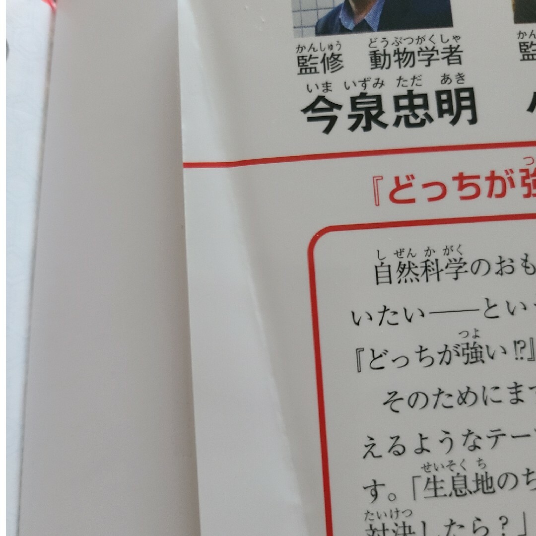 どっちが強い！？　動物ｖｓ恐竜　夢の超時空バトル エンタメ/ホビーの本(絵本/児童書)の商品写真