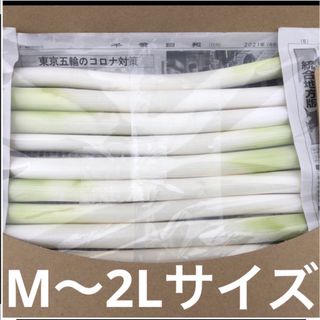 不揃いカット長ネギ　　A4サイズ(野菜)