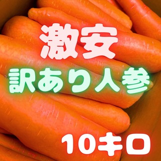 めっちゃ安い　訳あり　人参　10kg  04(野菜)