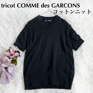 トリココムデギャルソン(tricot COMME des GARCONS)のtricot COMME des GARCONS 98年製　半袖コットンニット(カットソー(半袖/袖なし))