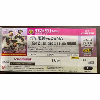 ハンシンタイガース(阪神タイガース)の6/21(金)阪神vs DeNA 甲子園球場 レフトスタンド(野球)