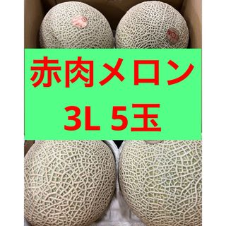 赤肉メロン　3L 5玉(フルーツ)