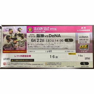 ハンシンタイガース(阪神タイガース)の6/22(土)阪神vs DeNA 甲子園期 レフトスタンド(野球)